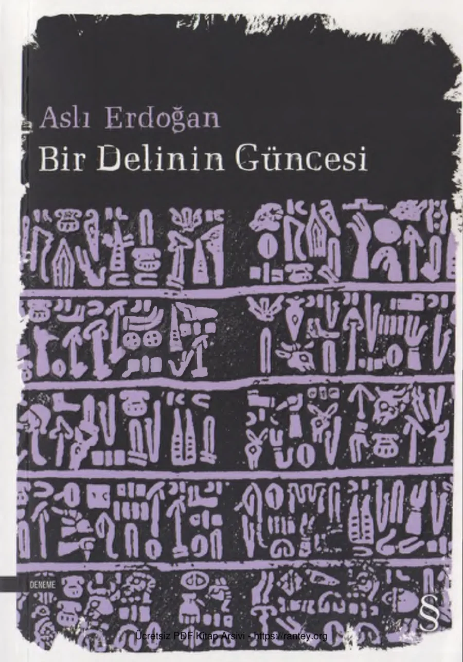 Bir Delinin Güncesi kapak görseli
