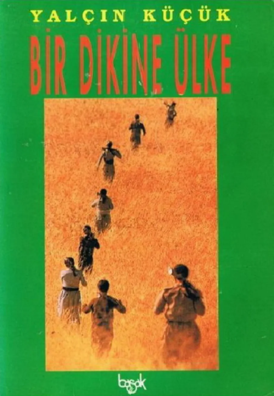 Bir Dikine Ülke kapak görseli