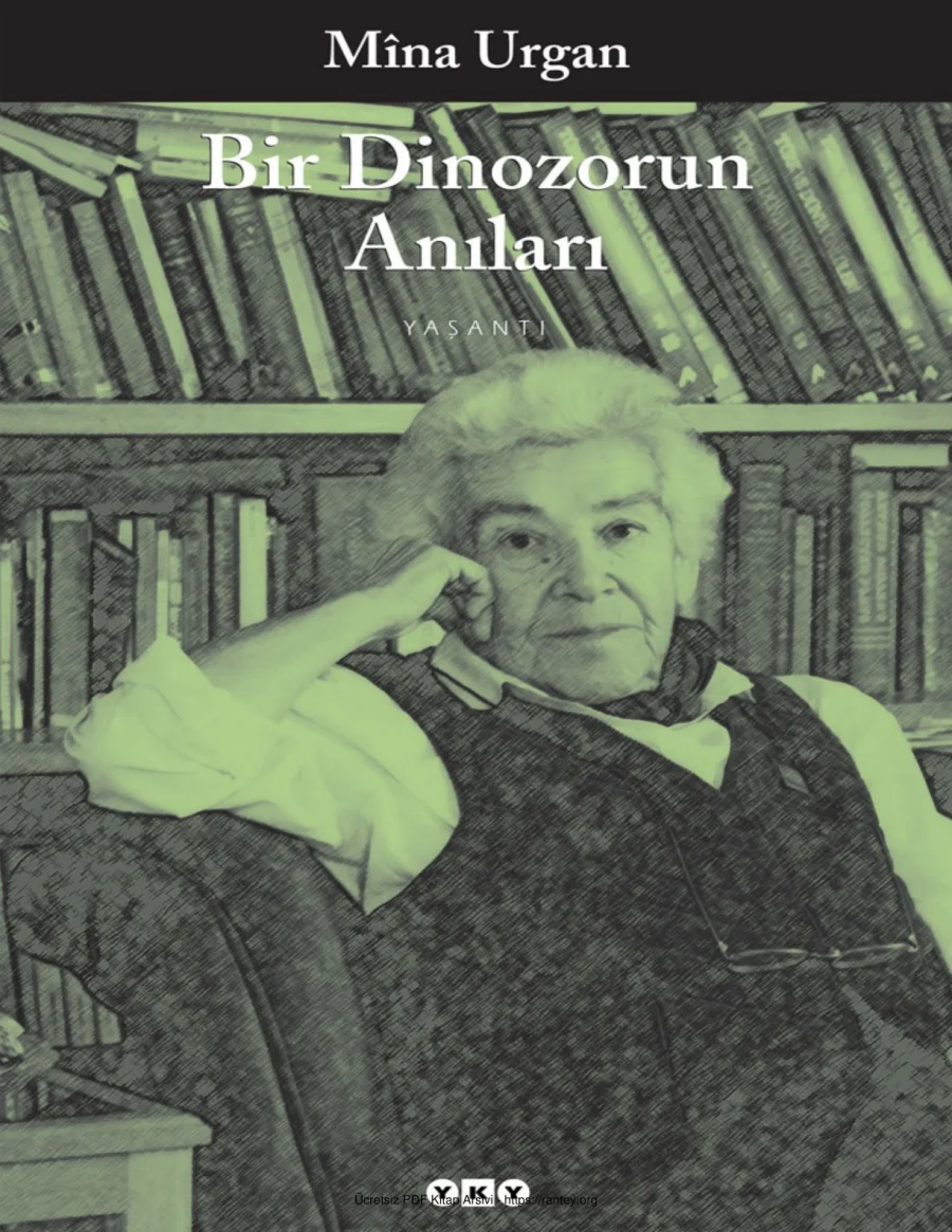 Bir Dinozorun Anıları kapak görseli