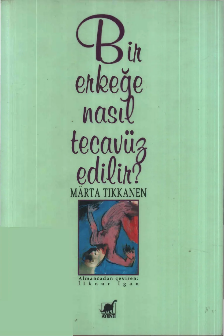 Bir Erkeğe Nasıl Tecavüz Edilir kapak görseli