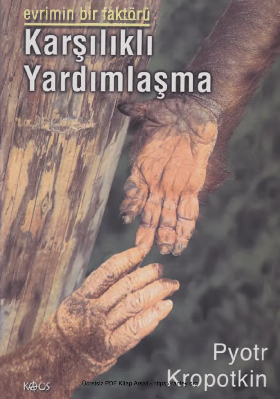 Bir Faktörü kapak görseli
