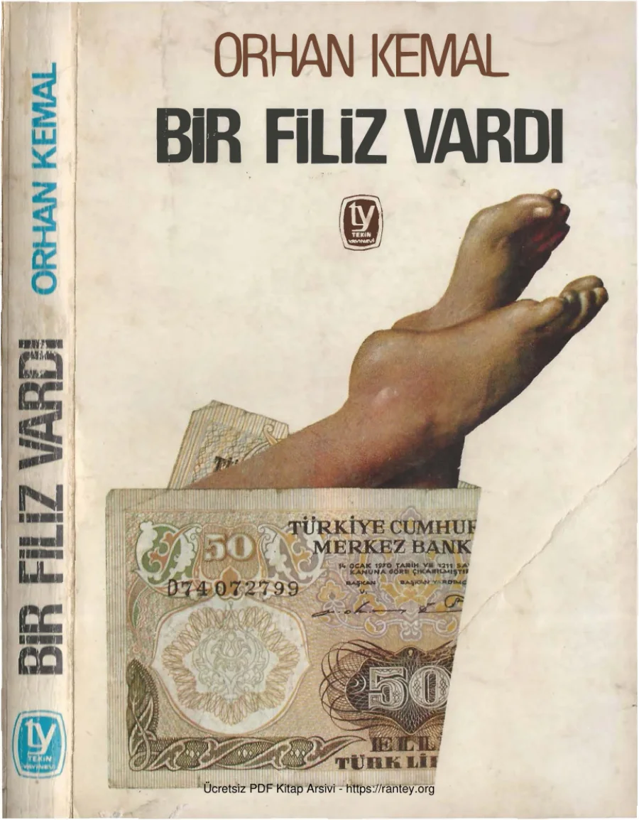 Bir Filiz Vardı kapak görseli