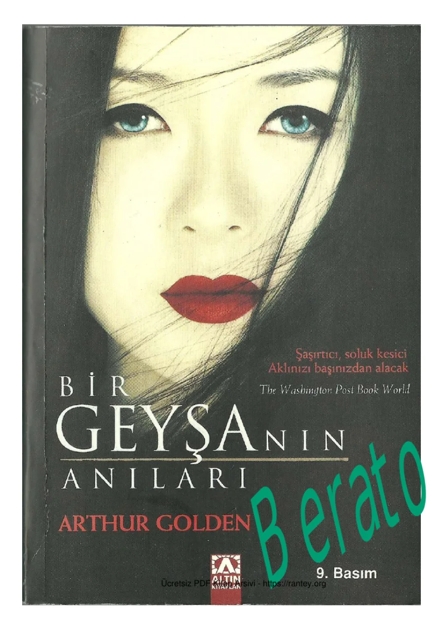 Bir Geyşanın Anıları kapak görseli