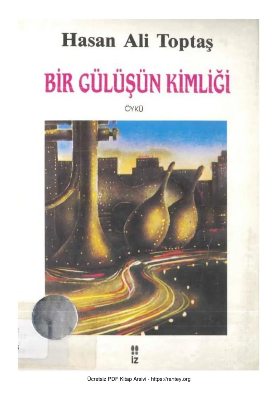 Bir Gülüşün Kimliği kapak görseli