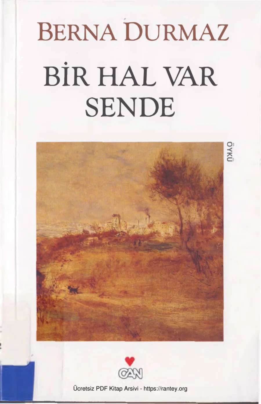 Bir Hal Var Sende kapak görseli