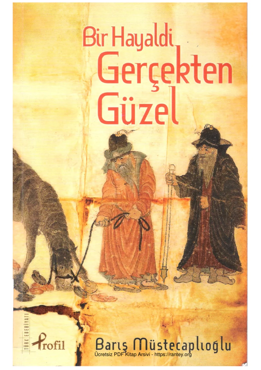 Bir Hayaldi Gerçekten Güzel kitap kapağı