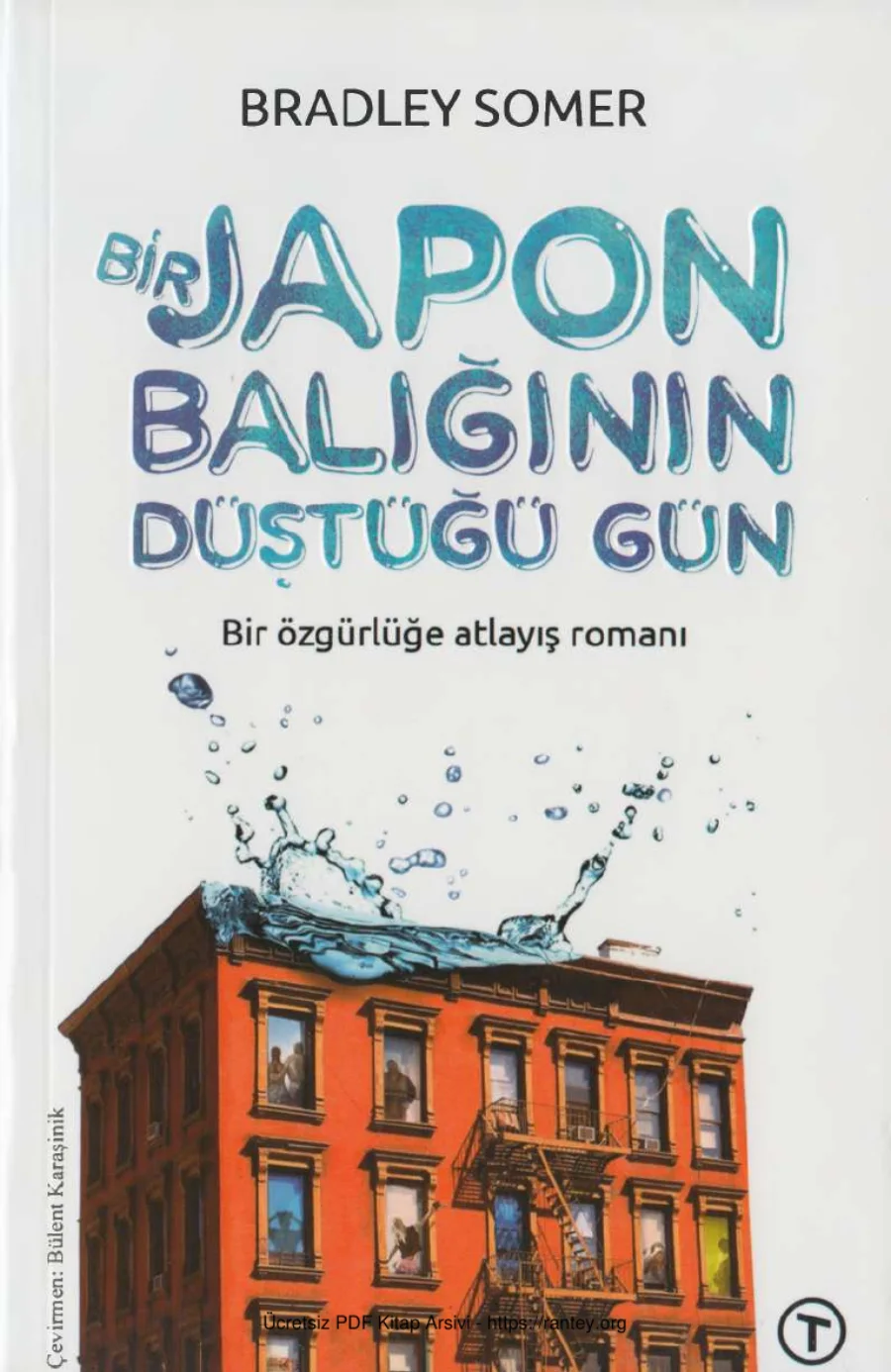 Bir Japon Balığının Düştüğü Gün Teras Kitap kapak görseli