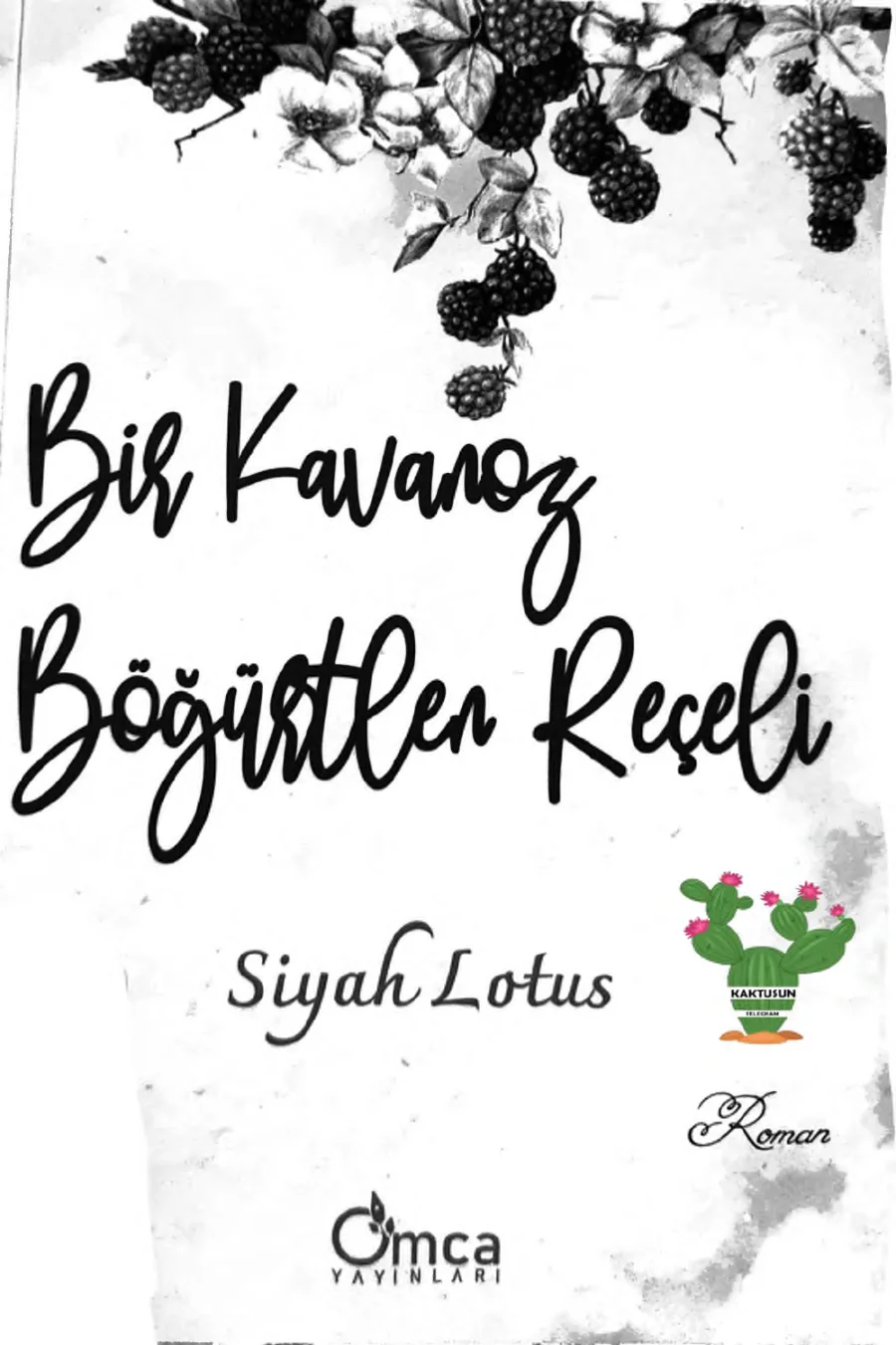 Bir Kavanoz Bogurtlen Receli kitap kapağı