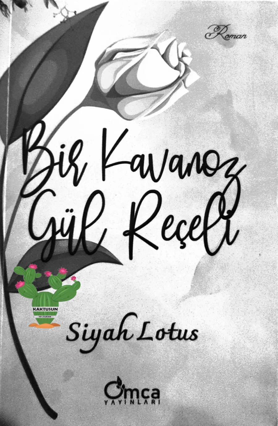 Bir Kavanoz Gul Receli kapak görseli