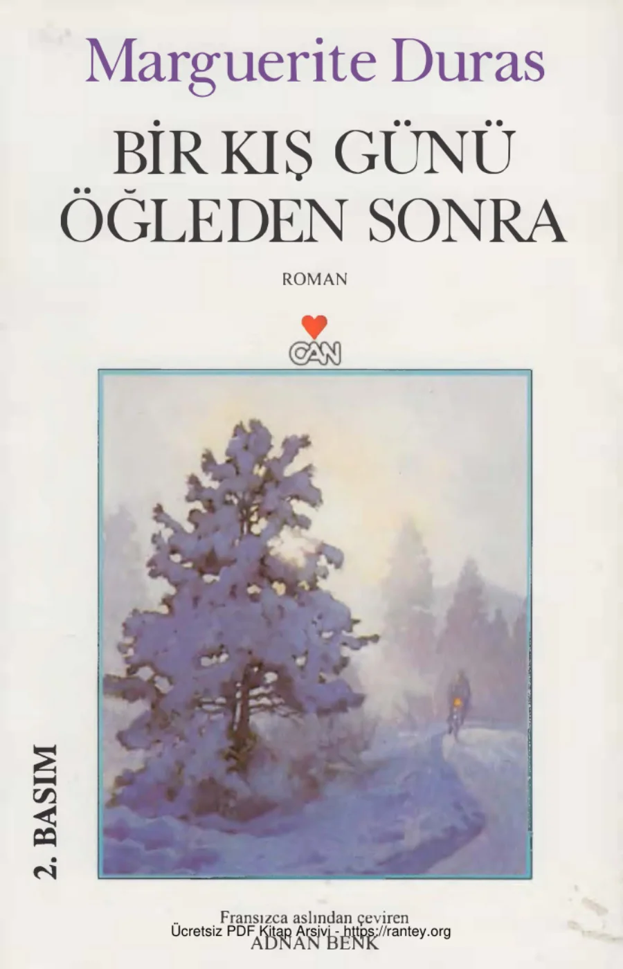 Bir Kış Günü Öğleden Sonra kapak görseli