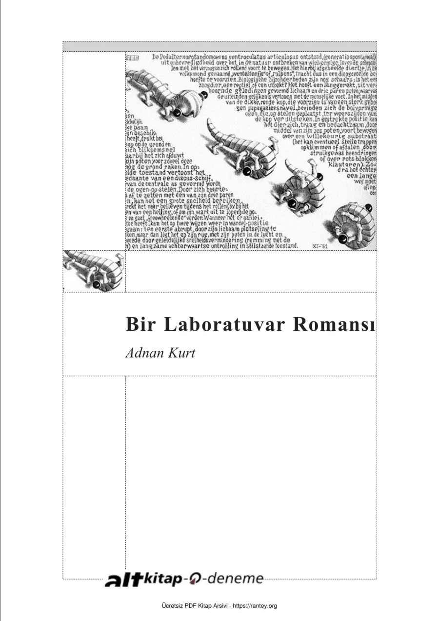 Bir Laboratuvar Romansi kapak görseli