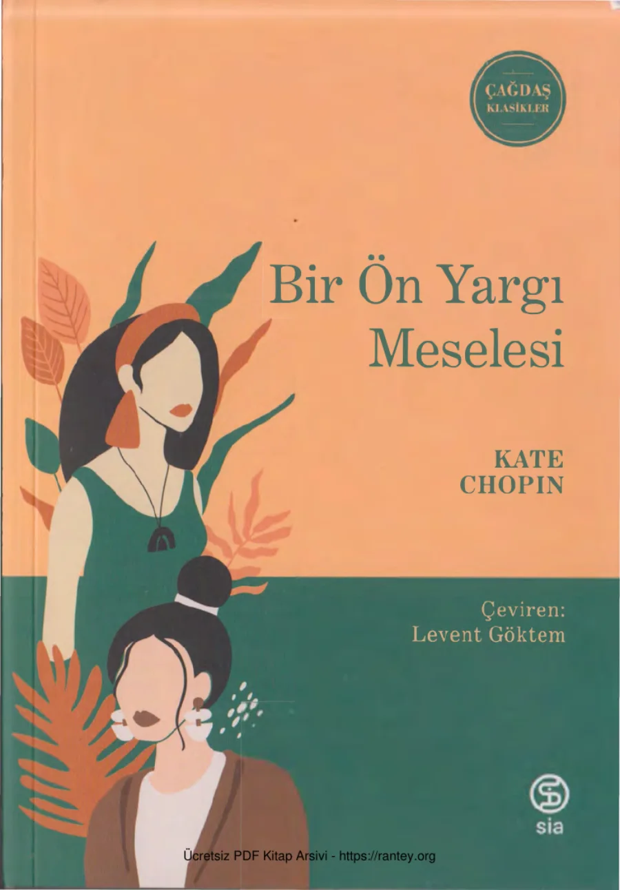 Bir Önyargı Meselesi kapak görseli