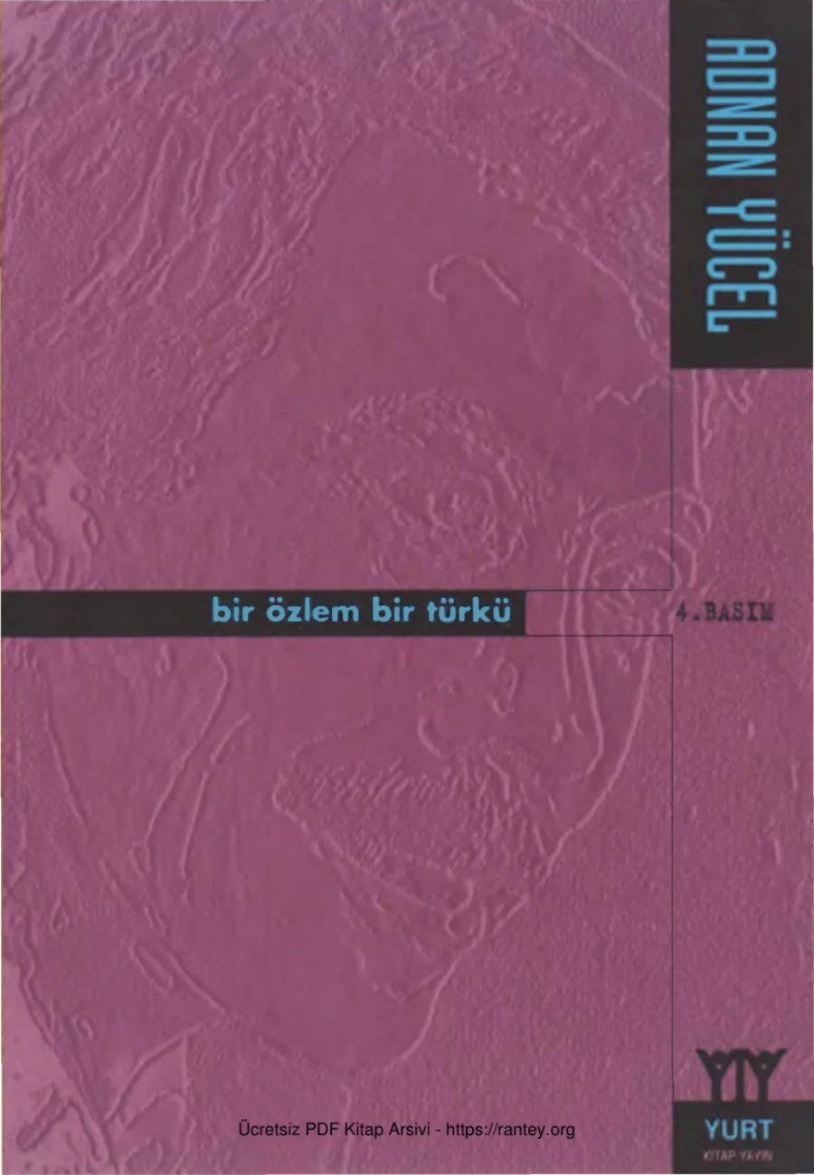 Bir Özlem Bir Türkü kapak görseli