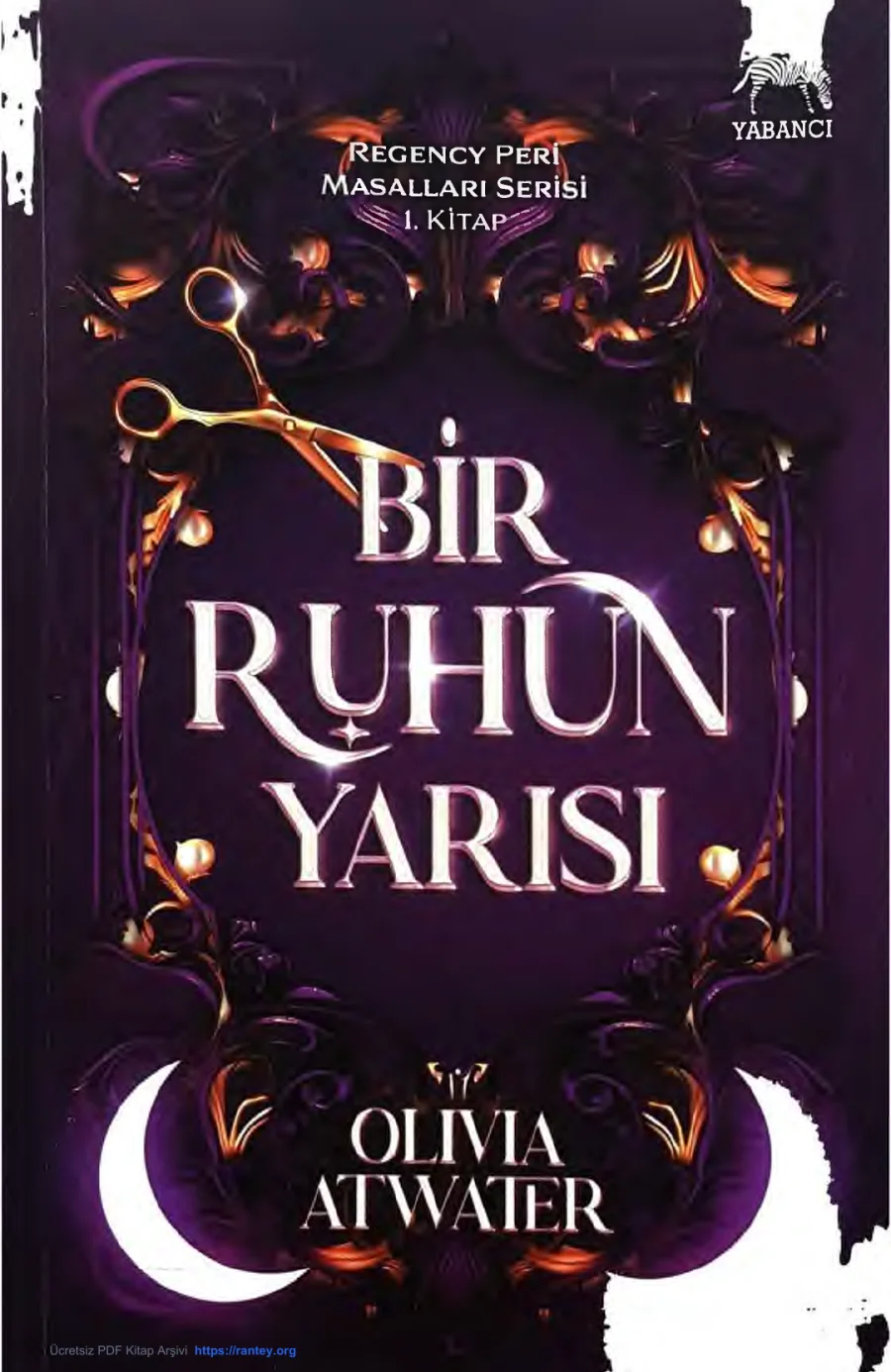 Bir Ruhun Yarısı kapak görseli