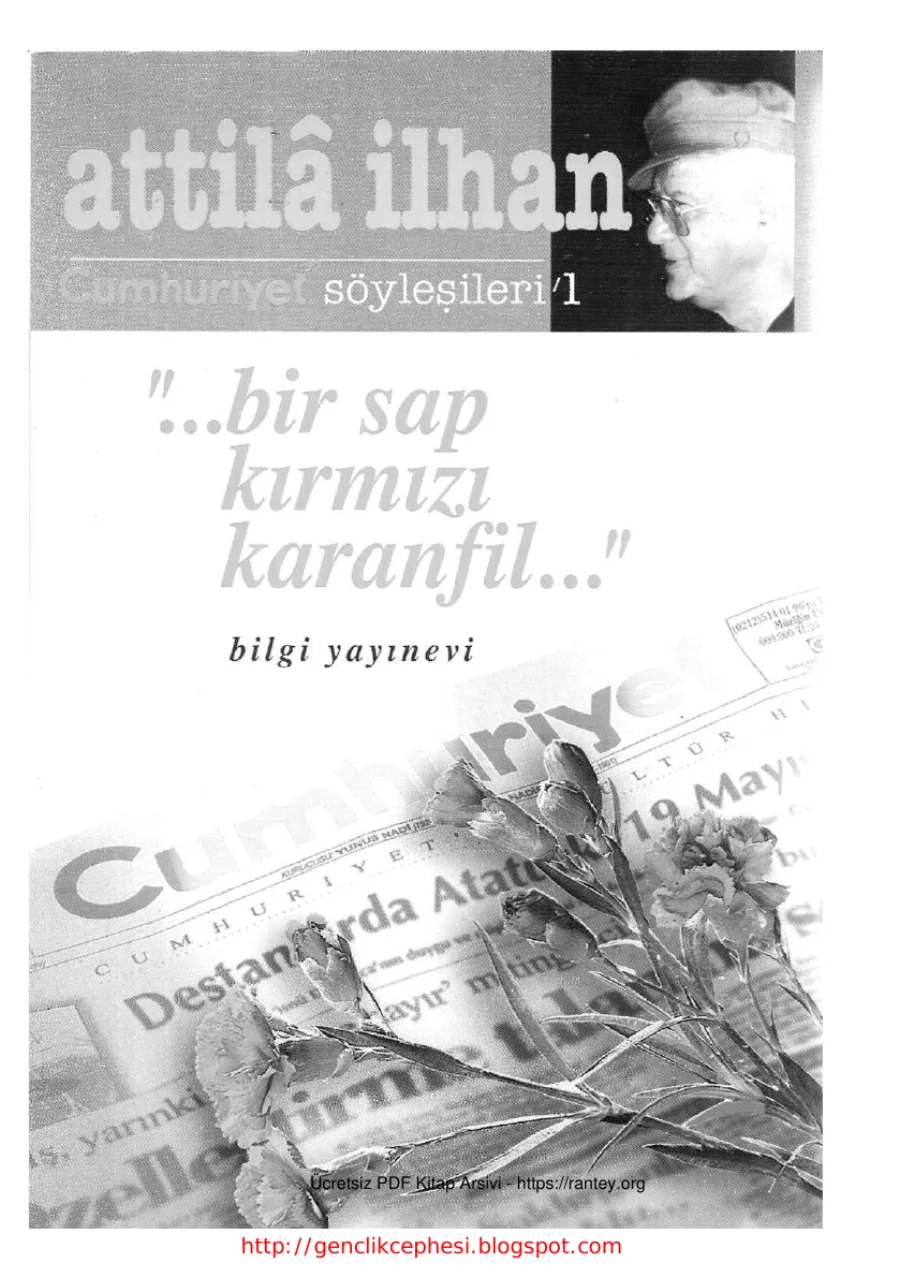 Bir Sap Kirmizi Karanfil kapak görseli