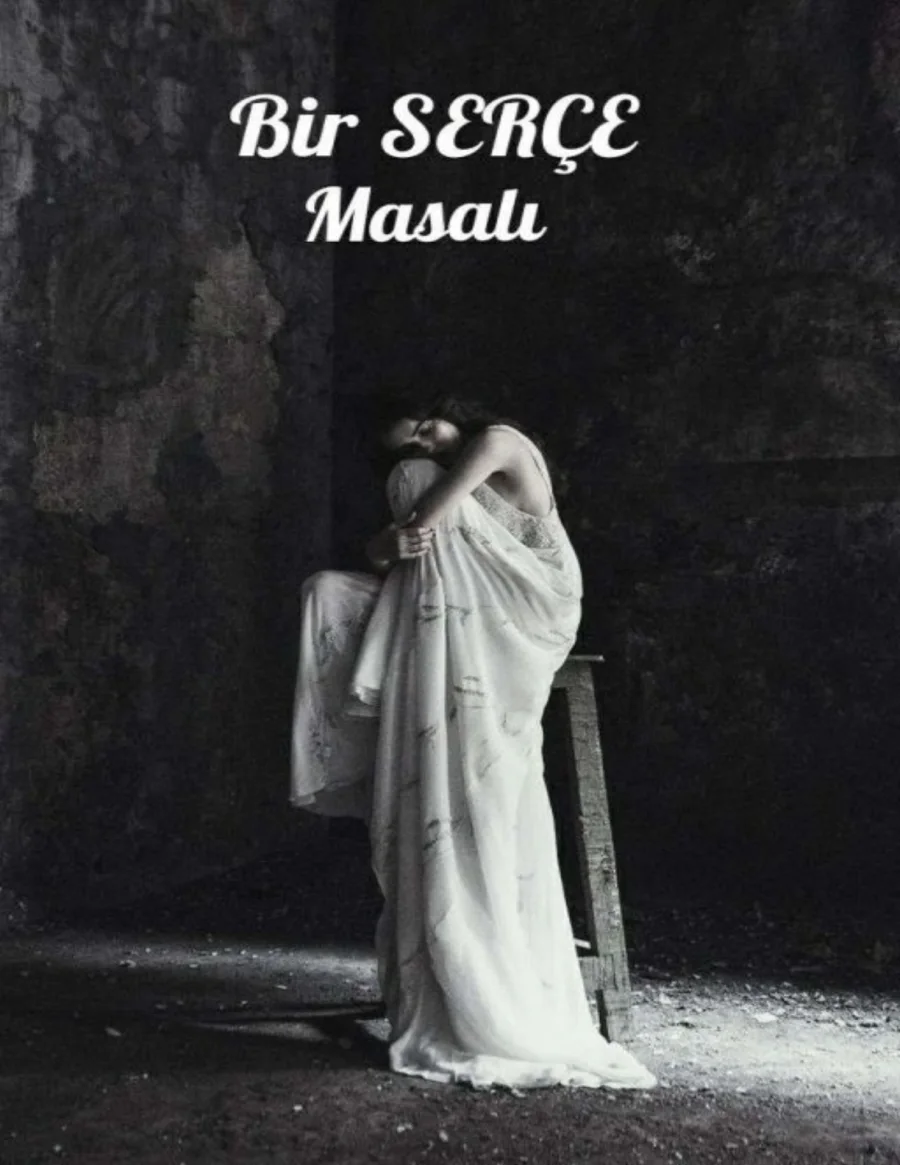 Bir Serce Masalı kitap kapağı