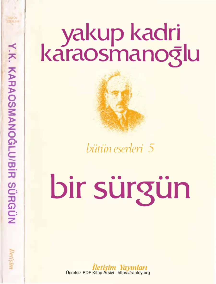 Bir Sürgün kapak görseli