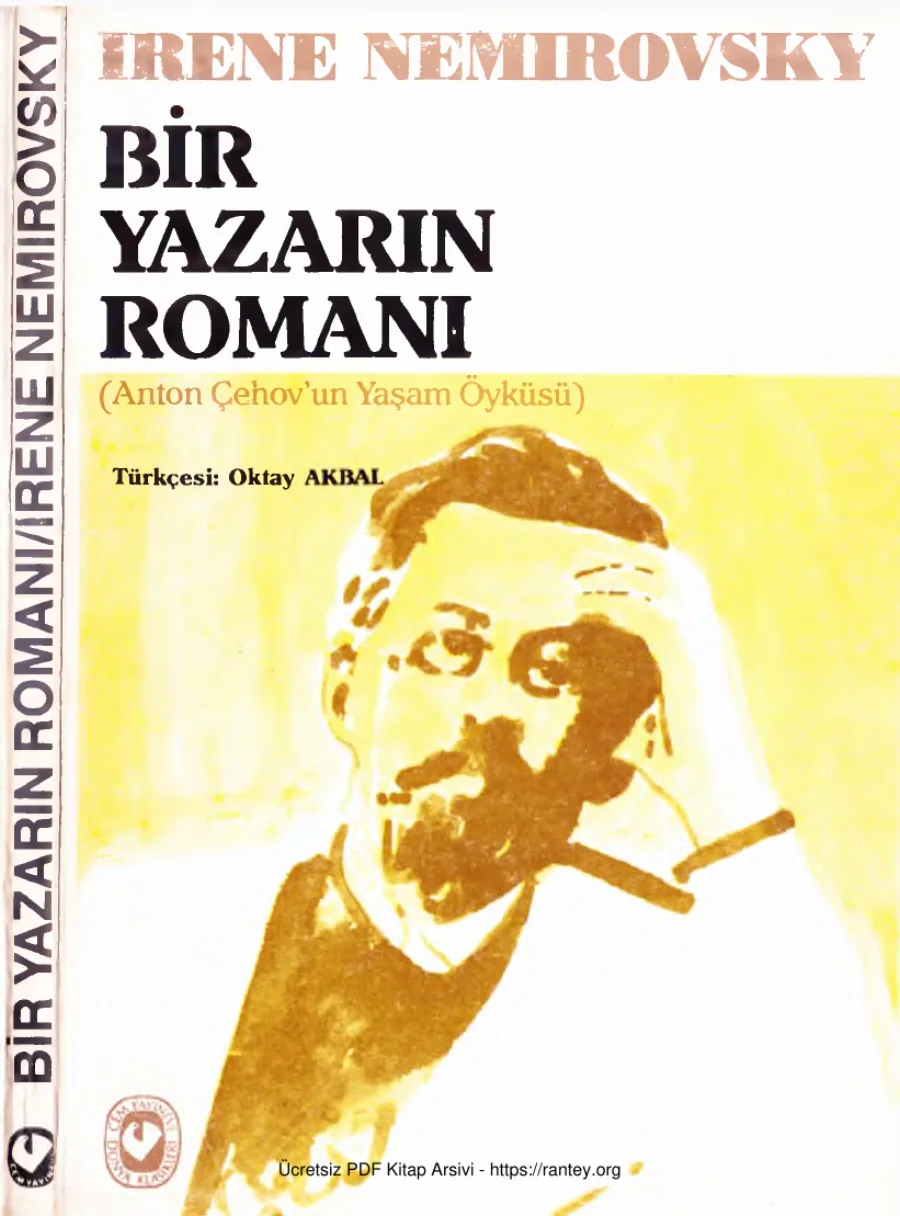 Bir Yazarın Romanı Cem Yayınevi kapak görseli