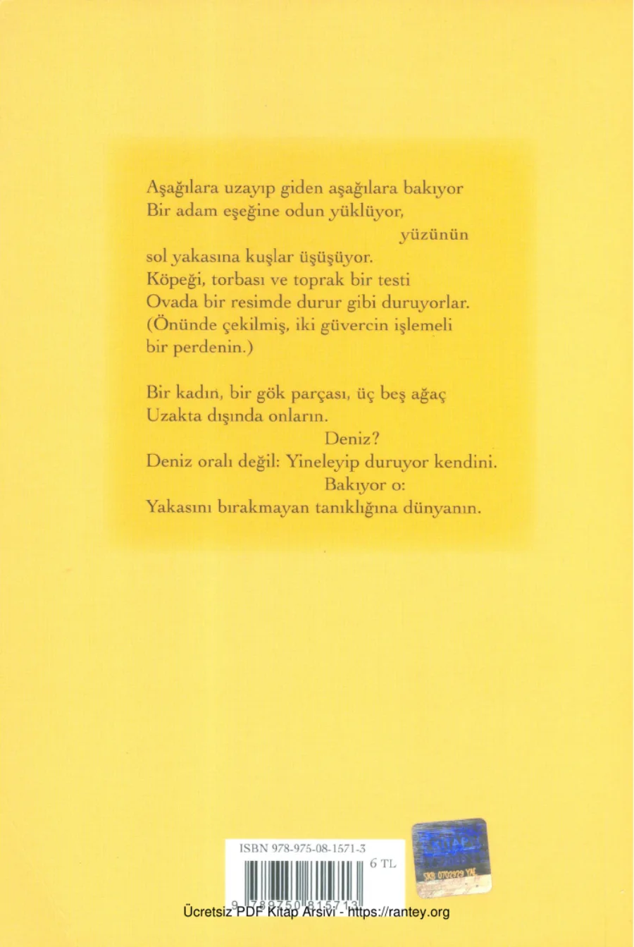Bir Yeryüzü Tanığı kapak görseli