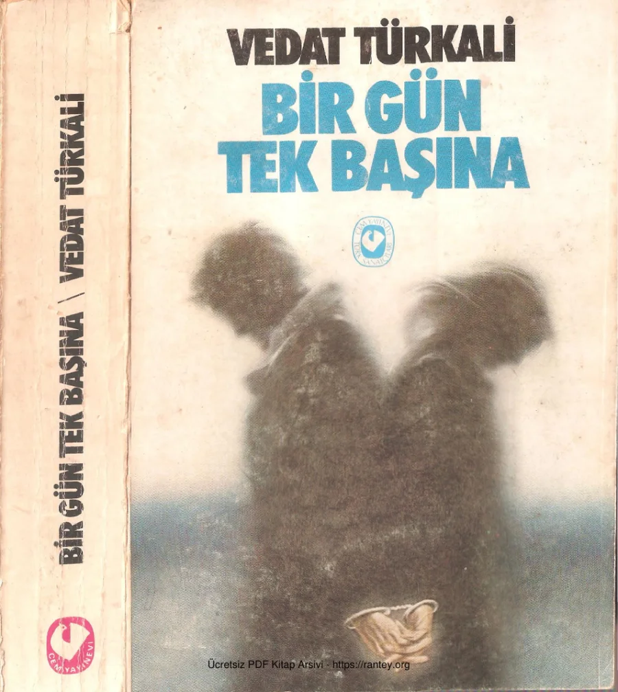 Birgün Tek Başına Cem Yayınevi kapak görseli