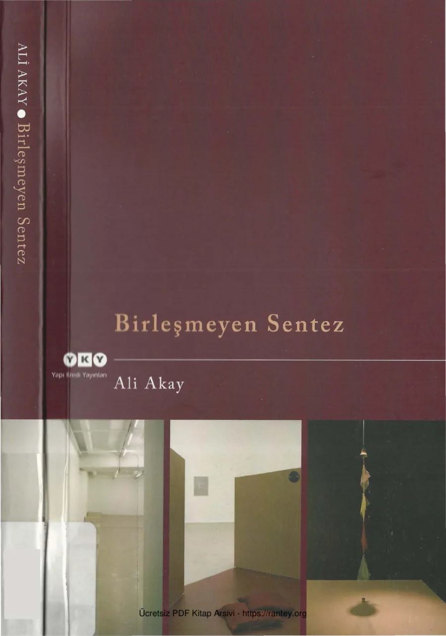 Birleşmeyen Sentez kapak görseli