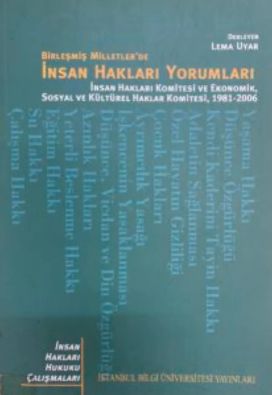 Birleşmiş Milletlerde İnsan Hakları Yorumları kapak görseli