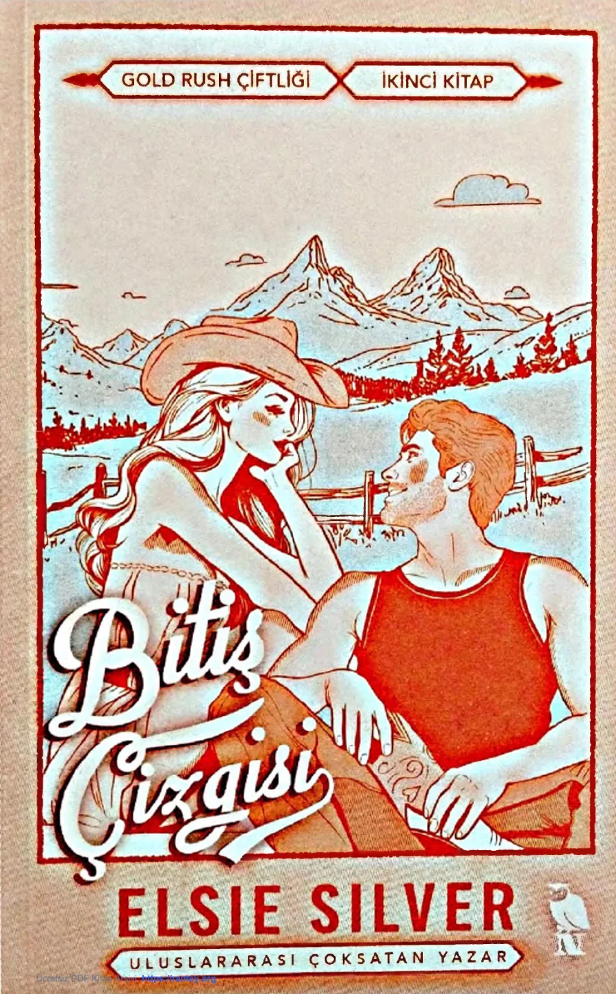 Bitiş Çizgisi kapak görseli