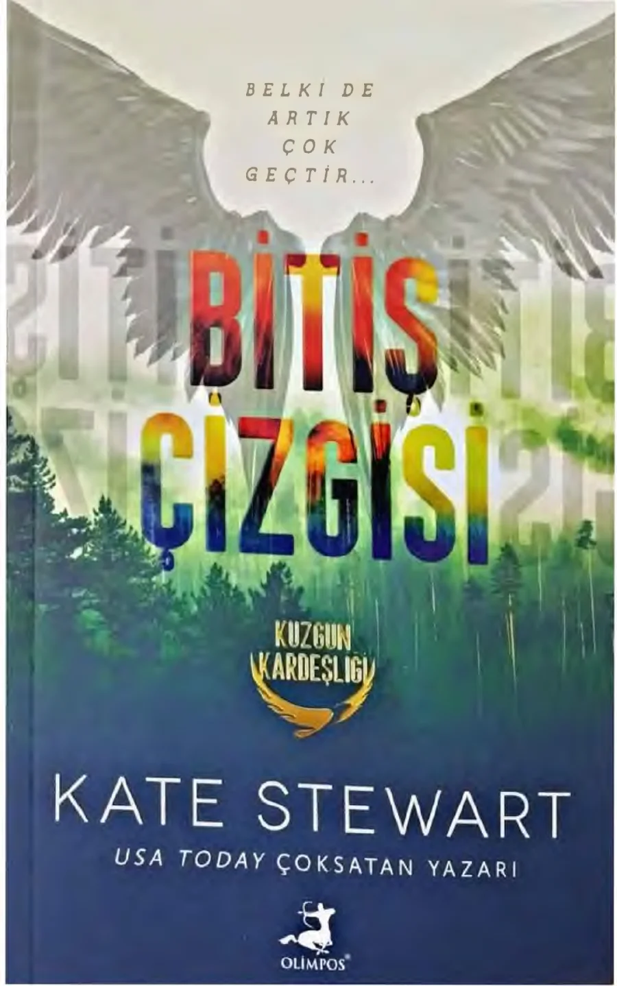 Bitiş Çizgisi kapak görseli