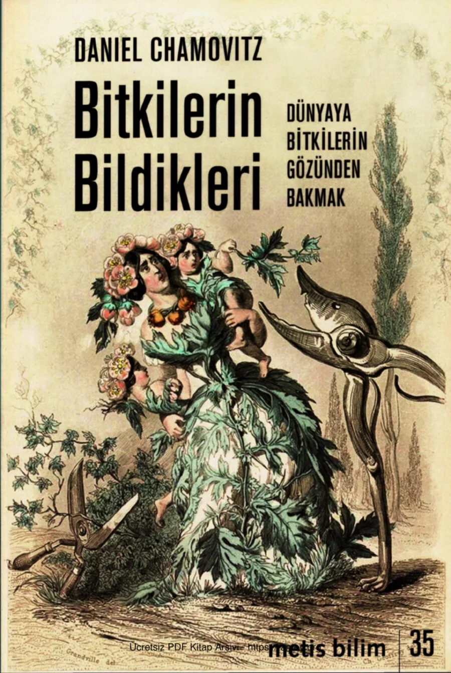 Bitkilerin Bildikleri kapak görseli