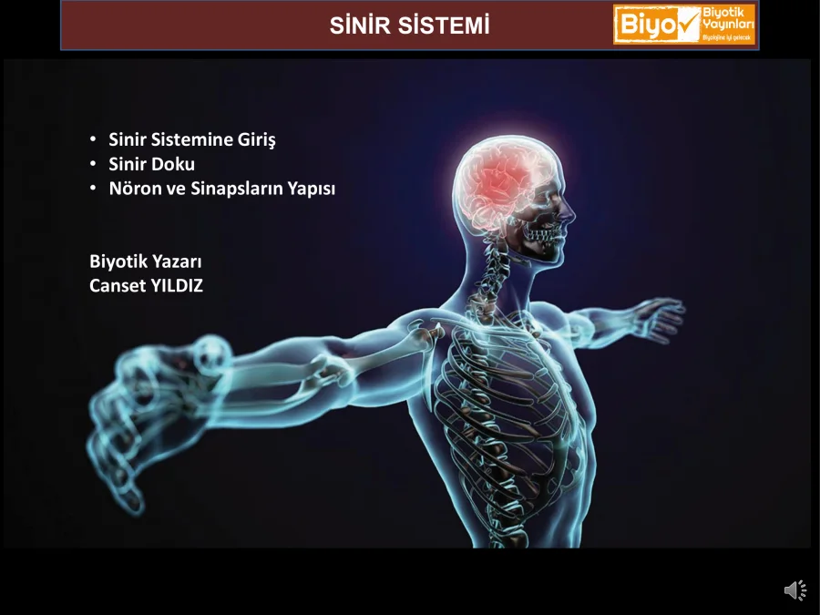 Biyotik Yayınları AYT Biyoloji Notları PDF kapak görseli