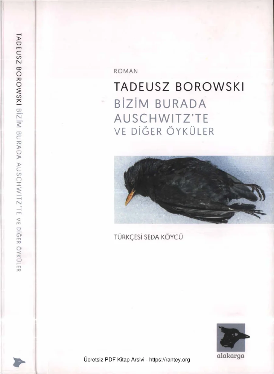 Bizim Burada Auschwitzte Diğer Öyküler kapak görseli