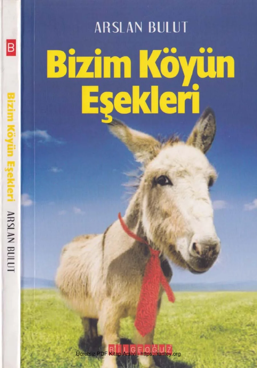 Bizim Köyün Eşekleri kapak görseli