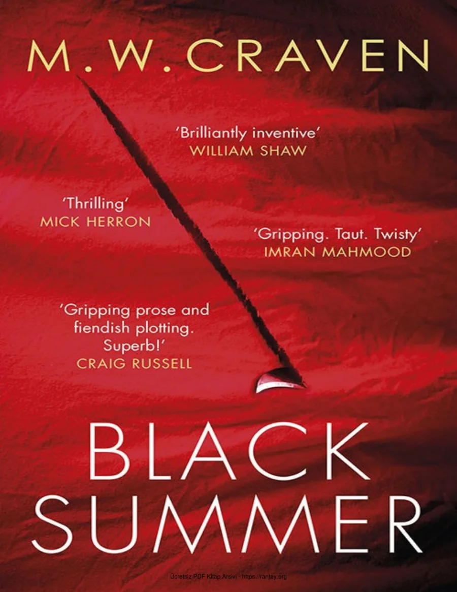 Black Summer kapak görseli