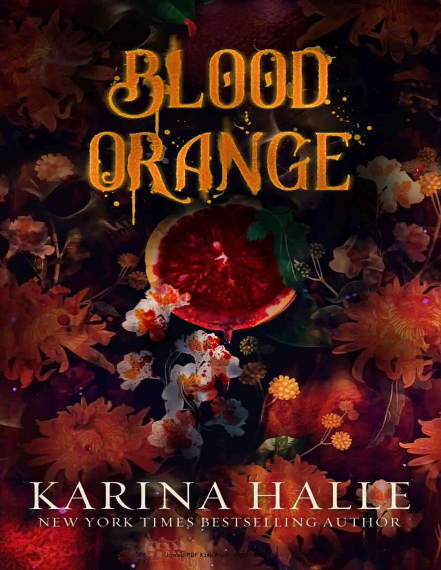 Blood Orange kapak görseli