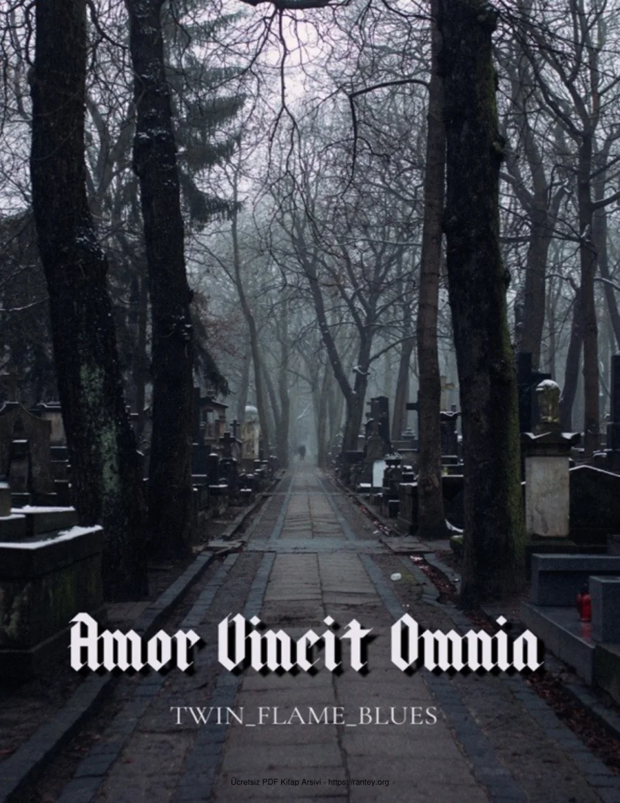 Blues Amor Vincit Omnia kapak görseli