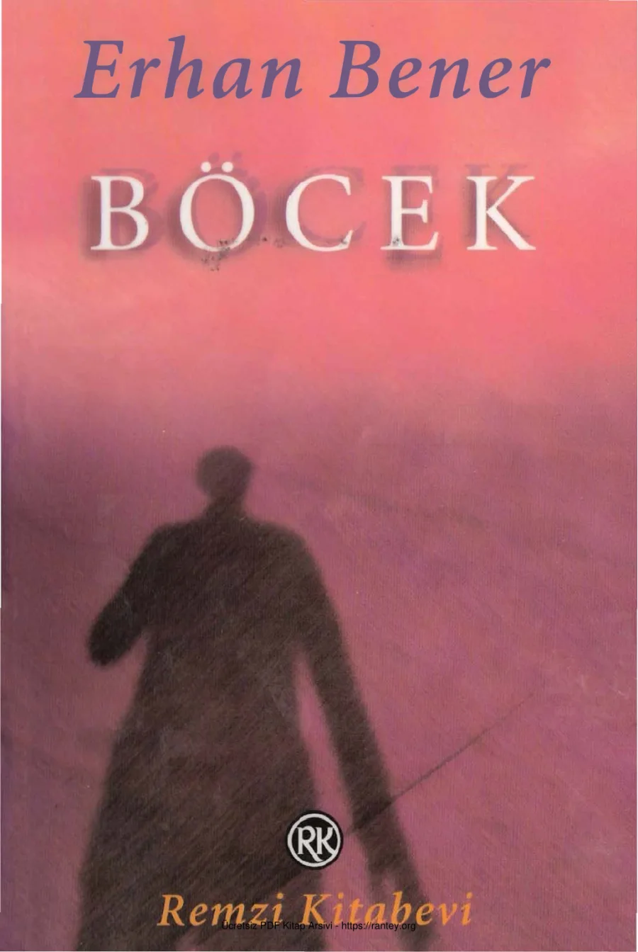 Böcek Remzi Kitabevi kapak görseli