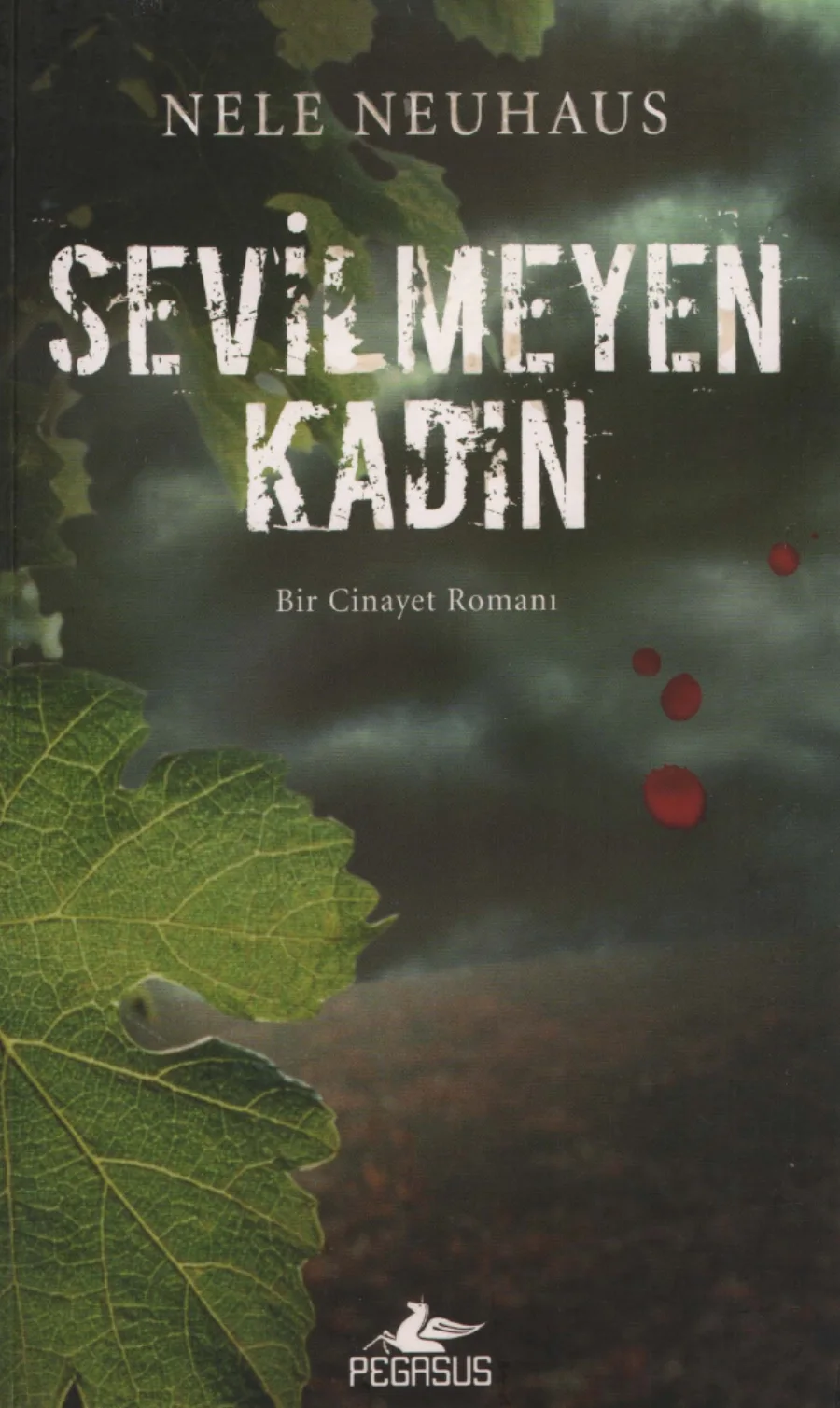 Bodenstein 01 Sevilmeyen Kadın kapak görseli