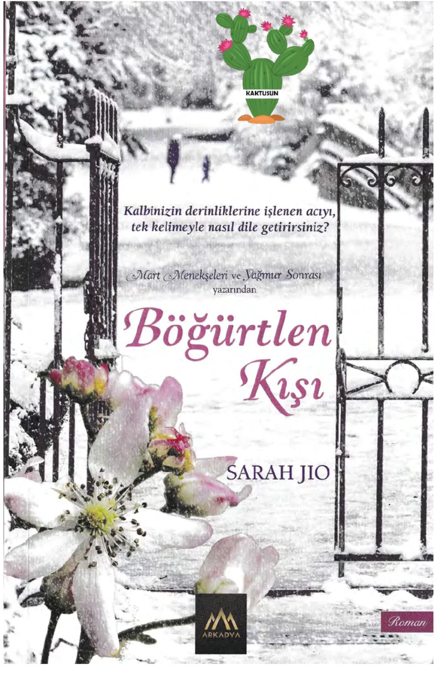 Böğürtlen Kışı kapak görseli
