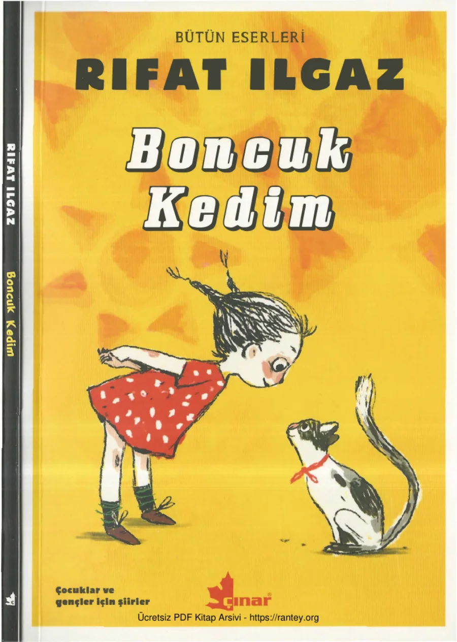 Boncuk Kedim kapak görseli