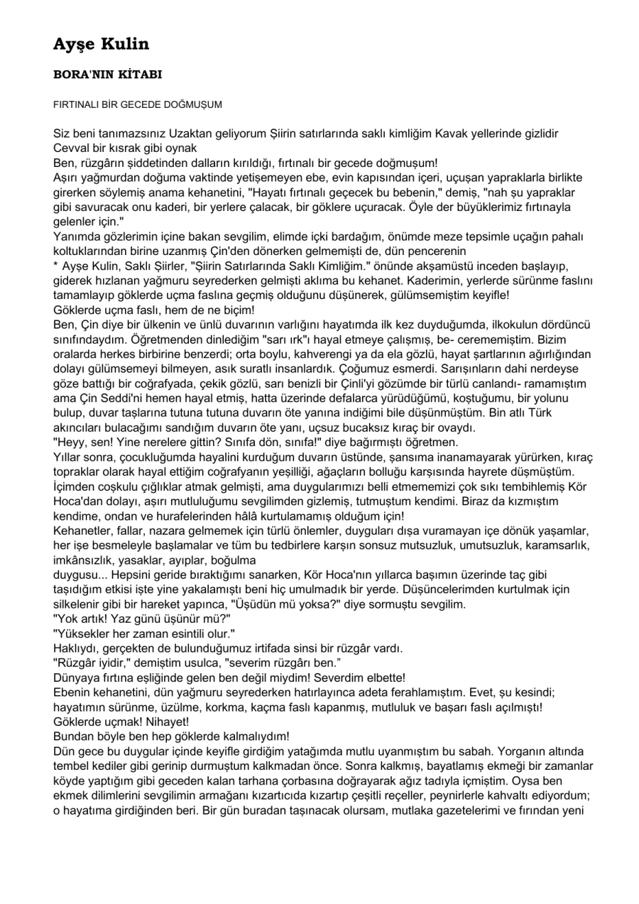 Bora'nın Kitabı kapak görseli