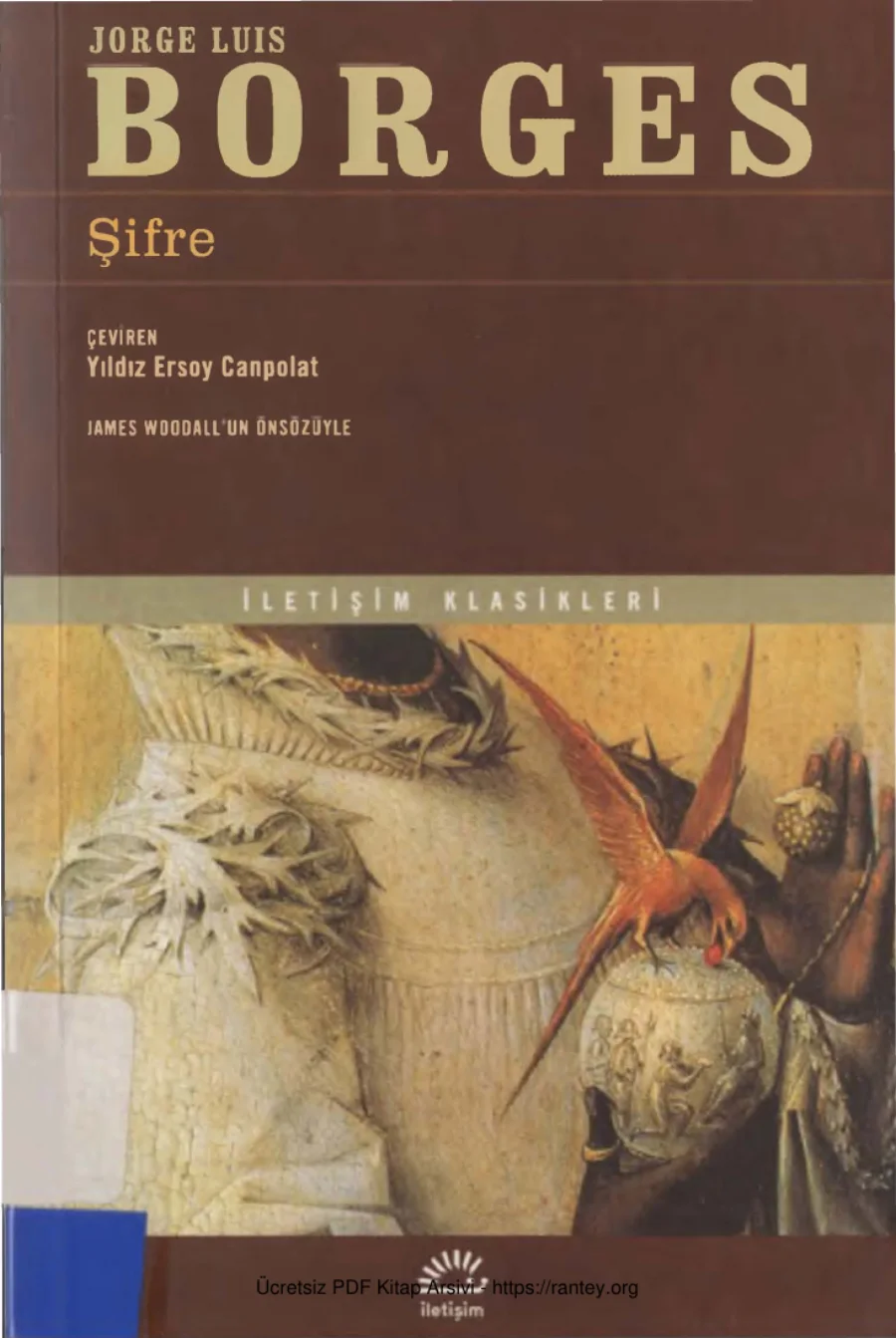 Borges Şifre kapak görseli