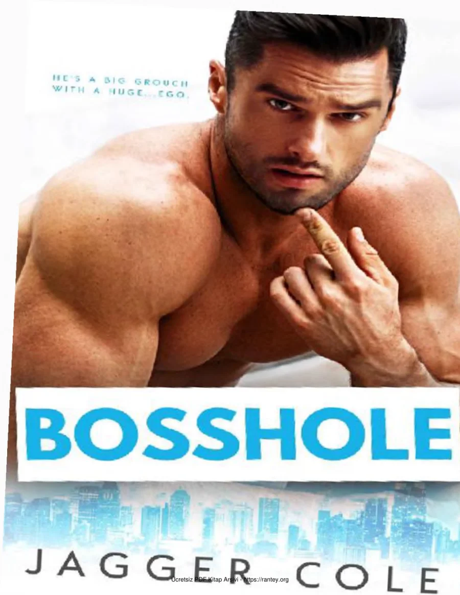 Bosshole kapak görseli