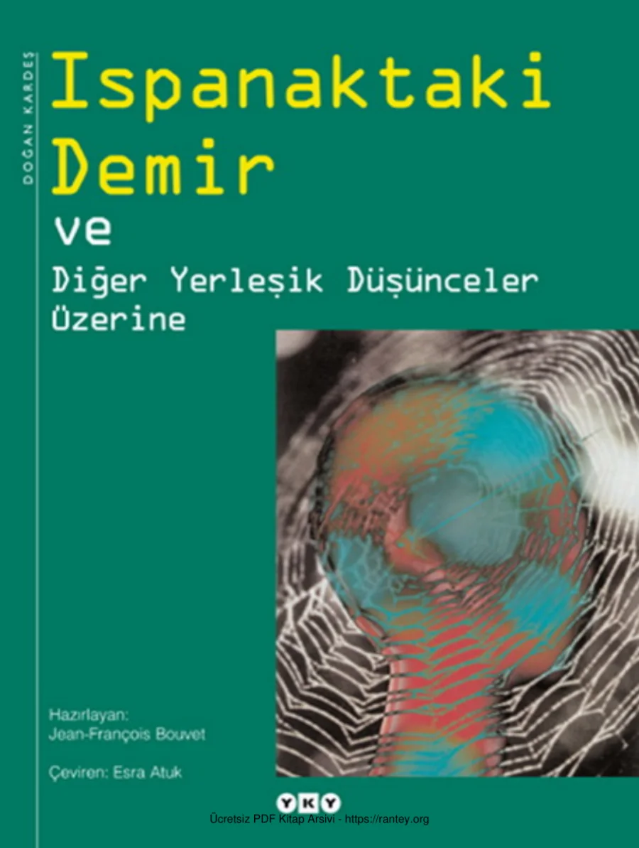 Bouvet Ispanaktaki Demir kapak görseli