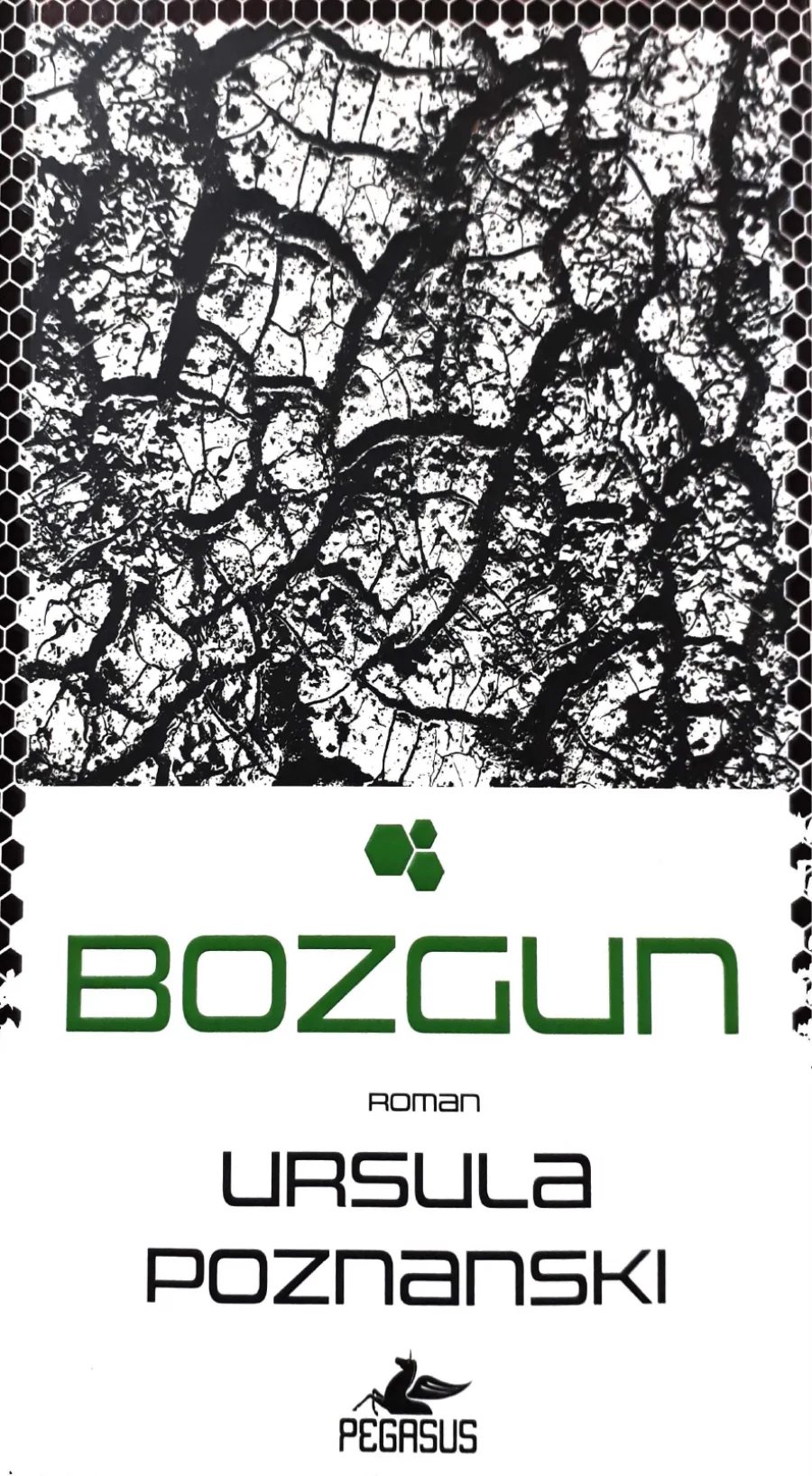 Bozgun - İhanet Üçlemesi 3 kapak görseli