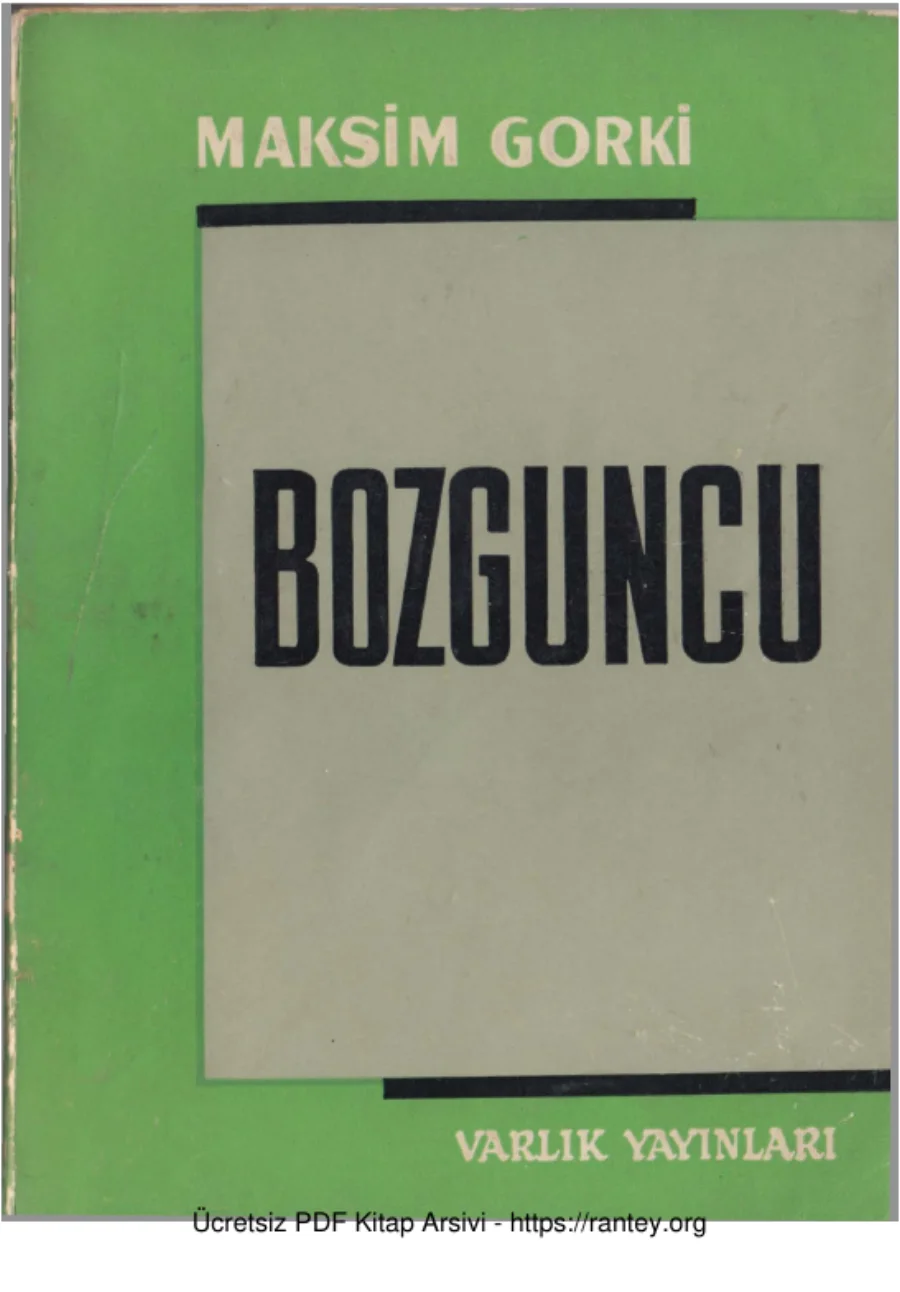 Bozguncu kapak görseli
