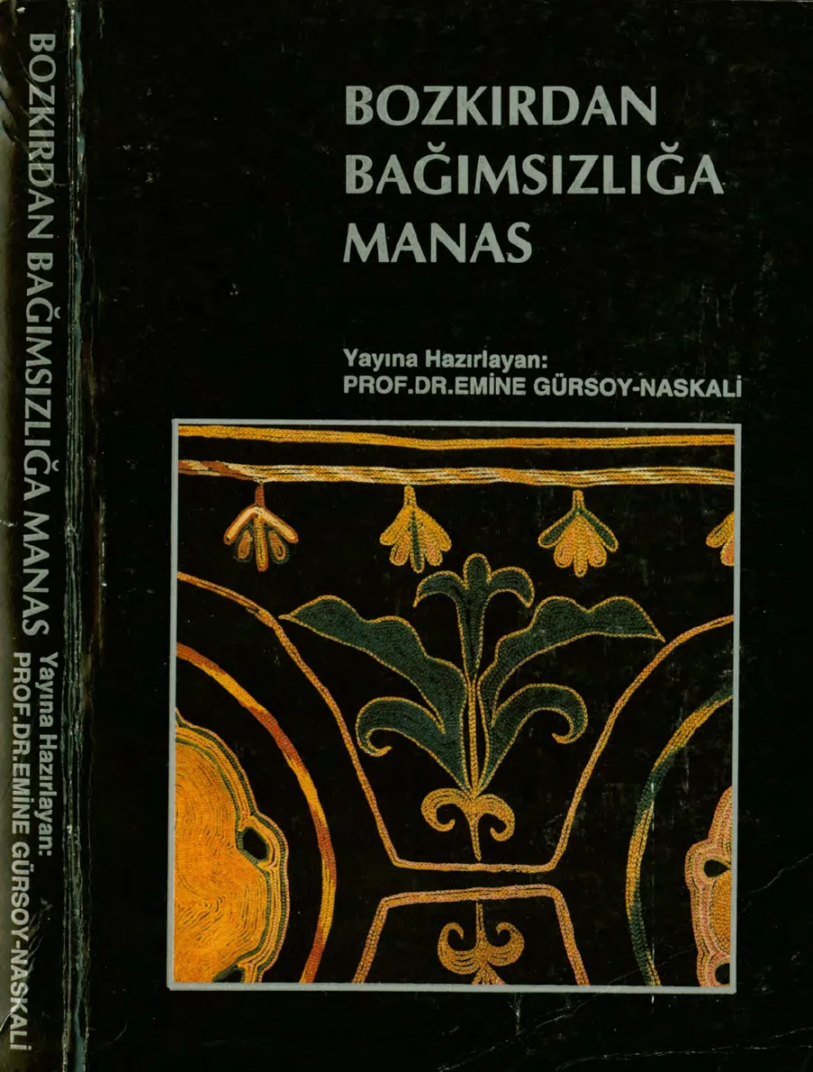 Bozkırdan Bağımsızlığa Manas kapak görseli