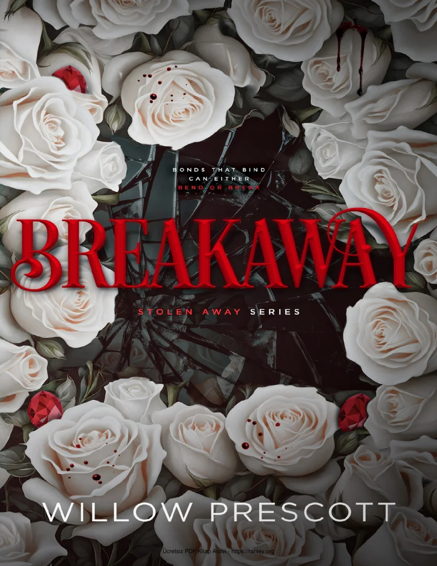 Breakaway kapak görseli