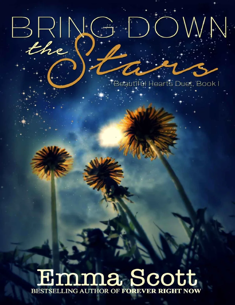 Bring Down the Stars kapak görseli
