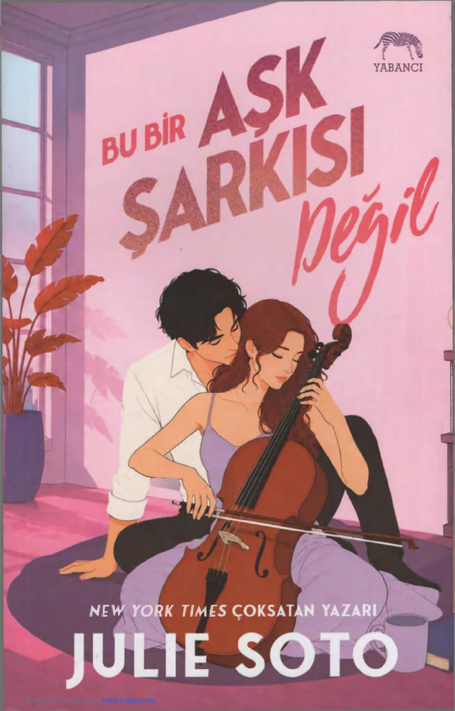 Bu Bir Aşk Şarkısı Değil kapak görseli