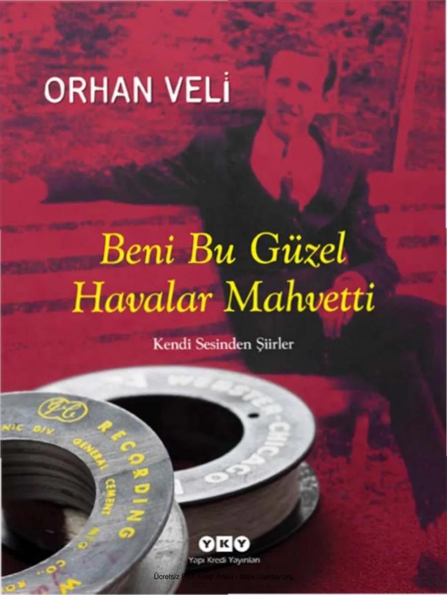 Bu Güzel Havalar Mahvetti kapak görseli